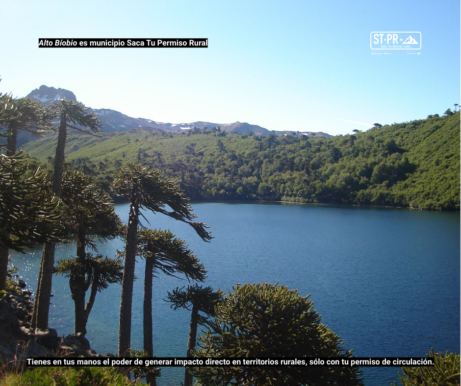 Altobiobio es municipio saca tu permiso rural %283%29