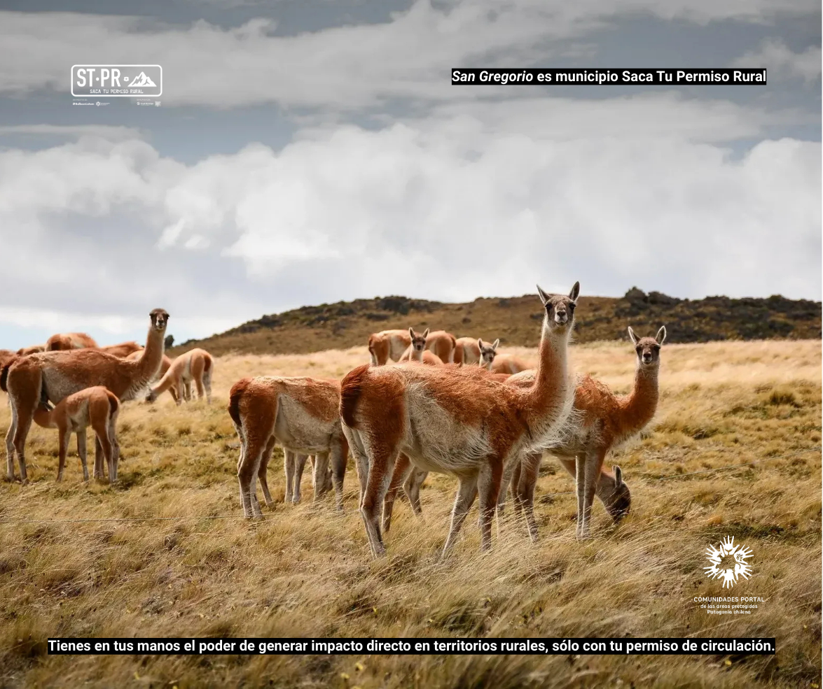 San gregorio %282%29