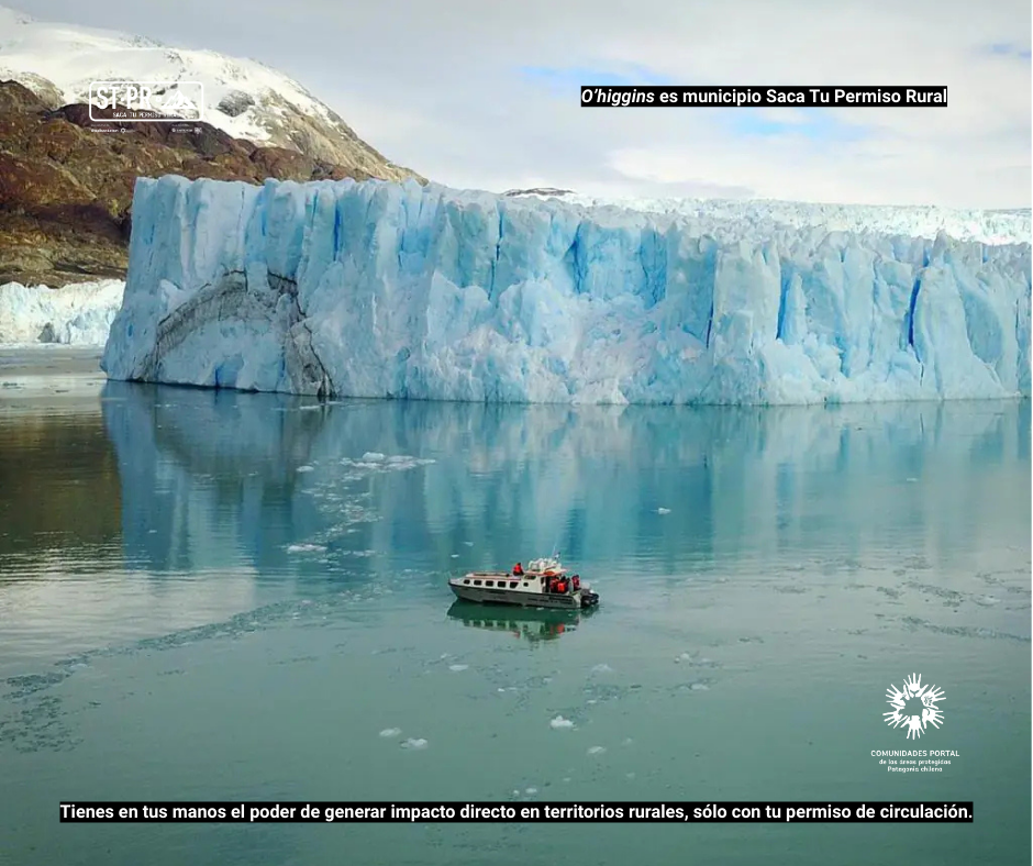 O%e2%80%99higgins %284%29