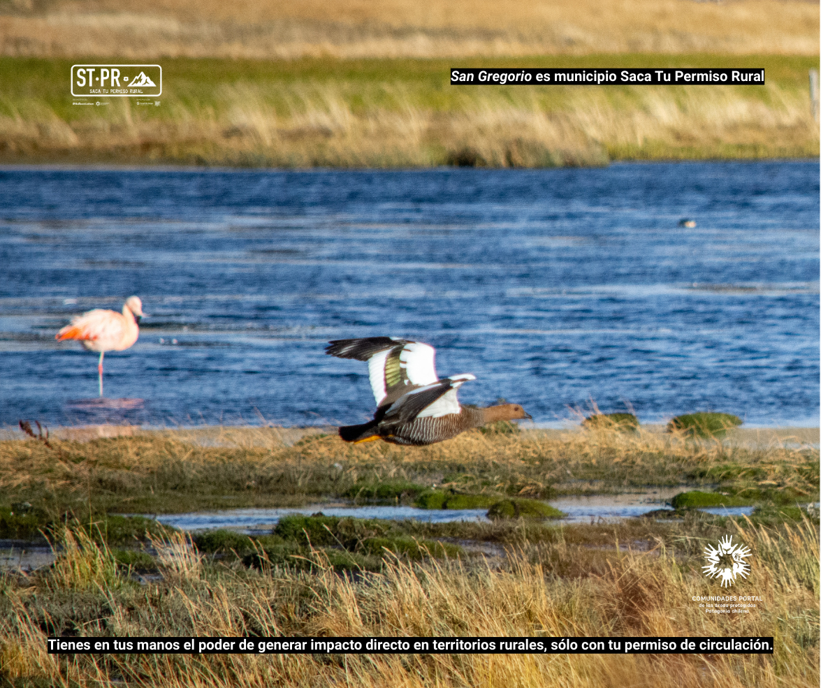 San gregorio %283%29